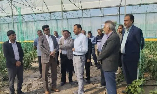 فرماندار رودان دستور عاجل برای نجات باغات از تهدید جدی رودخانه آب‌نما صادر کرد