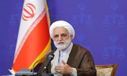 اژه‌ای: نقش حیاتی سمن‌ها در جلوگیری از وقوع جرم که شاید ندانید!