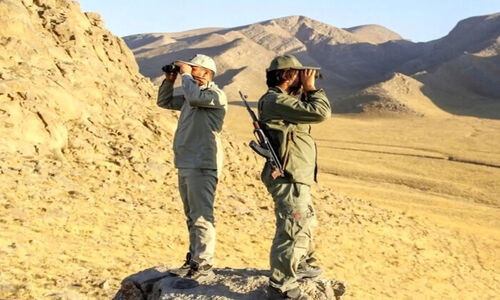 درگیری مسلحانه در پارک ملی بمو؛ دو محیط‌بان به‌خاطر شکار غیرمجاز زخمی شدند