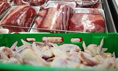 کشف و معدوم‌سازی بیش از ۲۰۰ کیلوگرم گوشت و مرغ غیرمجاز در کرمانشاه؛ سلامت جامعه در اولویت دامپزشکی