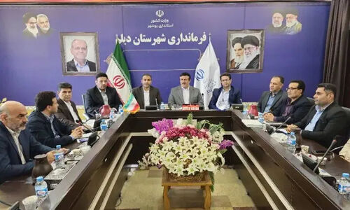 فرماندار دیلم خواستار تسریع چشمگیر در پرداخت تسهیلات اشتغالزایی شد
