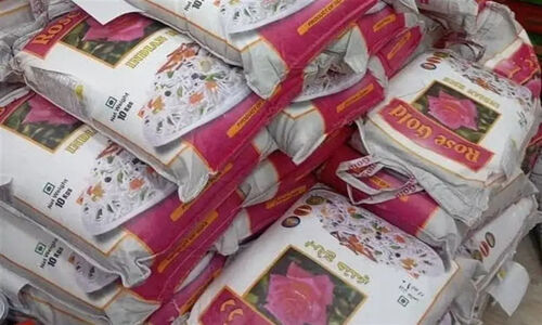 آغاز توزیع 802 تن برنج دولتی در بوشهر؛ نگرانی از کمبود برنج برطرف شد!