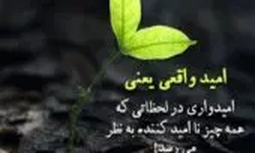 نیما کرمی در شب یلدا با حرکات عاشقانه‌اش همه را شگفت‌زده کرد!