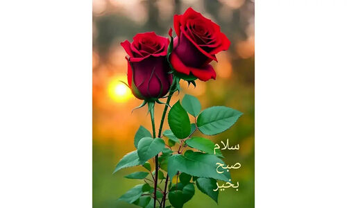فال ابجد ۶ دی را بخوانید؛ چه رازهایی پشت حروف الفبای فارسی پنهان است؟
