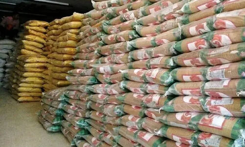 توزیع ۲۰ تن مرغ و ۲۷ تن روغن در بویراحمد؛ بازار یاسوج همچنان پررونق است