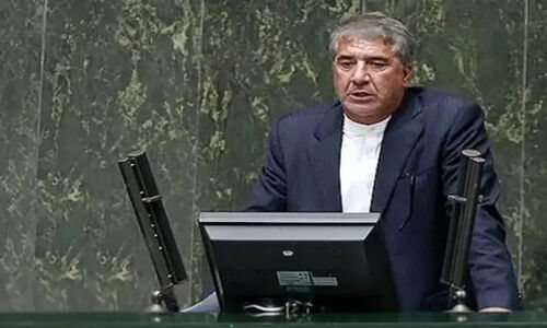 نماینده مجلس: دستگاه‌ها برای اجرای کالابرگ الکترونیکی باید به وزارت کار کمک کنند!