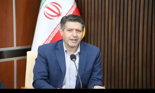 دولت چگونه فرش دستباف ایلام را به روزهای اوج بازمی‌گرداند؟ حمایت ویژه فعالان این هنر کهن