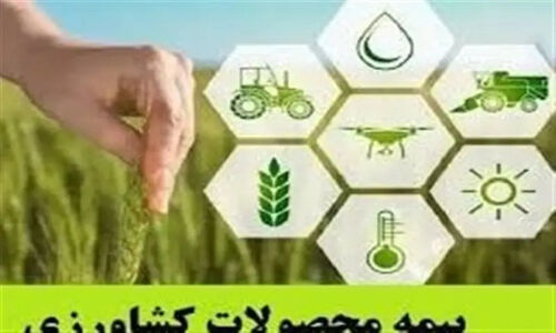نخستین محموله محصولات کشاورزی دزفول مستقیم به روسیه صادر شد