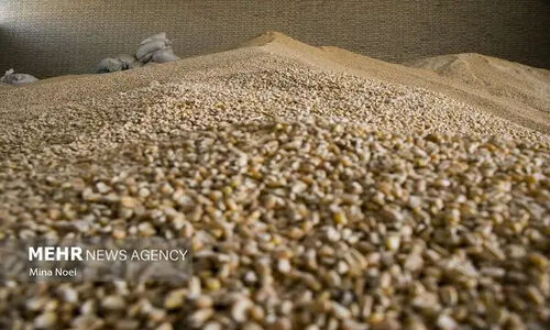 چرا تأمین به‌موقع ارز، گره اصلی تأمین کالاهای اساسی است؟