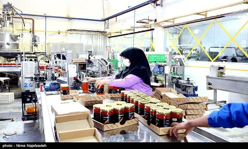 افتتاح 52 واحد صنعتی در بوشهر با سرمایه‌گذاری 2.6 همت؛ جهش بزرگ در تولید استان