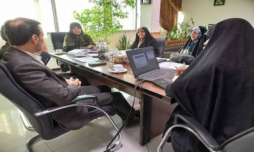 تحلیل و بررسی کارنامه عملکرد دستگاه‌های اجرایی در حوزه عدالت جنسیتی