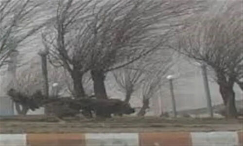 ثبت تندباد 94 کیلومتری در نیر