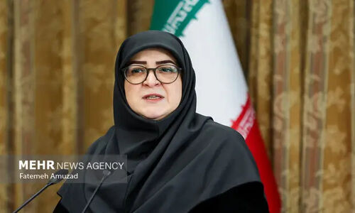 مهاجرانی: دولت یک برنامه اضطراری برای مدیریت اقتصاد طراحی کرد