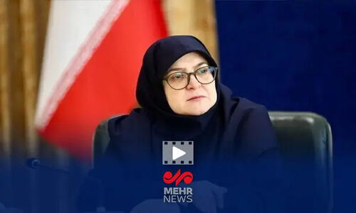 مهاجرانی: وزارت خارجه موضوع «آرش دربندی» را پیگیری می‌کند