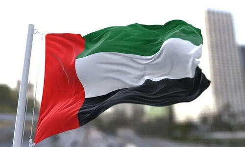 امارات: از بیانیه وزارت خارجه عربستان ناامید شدیم!