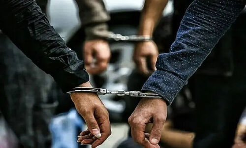 ۷ گروه متخلف شکار در تنها پارک ملی خراسان رضوی دستگیر شدند
