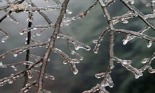 هشدار نارنجی هواشناسی؛ گلستان فردا یخ می‌زند