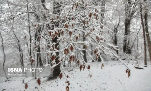 تداوم سرمای شدید و مه در آذربایجان‌شرقی