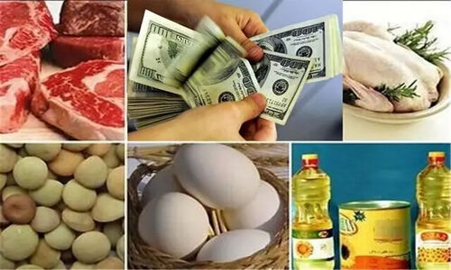 توزیع ۳۰ تن کالای اساسی و ۳۰۰۰ تن نهاده دامی یارانه‌ای در سوادکوه