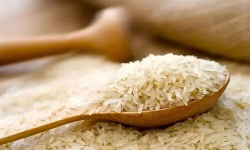 ترخیص بیش از ۴۱ هزار تن برنج وارداتی از گمرکات هرمزگان