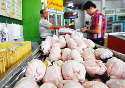 قیمت مرغ چهارشنبه 17 دی 1404 / افزایش 50 درصدی قیمت‌ها