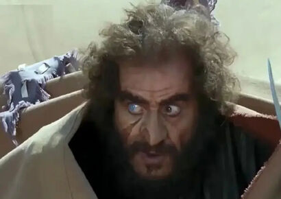 قاب تاریخ | شرحبیل «مختارنامه» در 70 سالگی و سال آخر زندگی‌اش