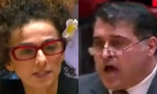سخنرانی مسیح علی‌نژاد در شورای امنیت برای حمله به ایران!
