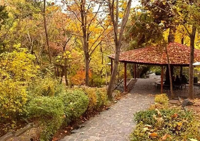پیک‌نیک| پاییزگردی در تهران؛ پارک‌ های محبوب از لویزان تا پردیسان