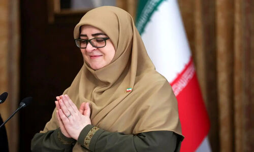 توضیح سخنگوی دولت درباره اقدامات کمیته حقیقت‌یاب حوادث دی‌ماه