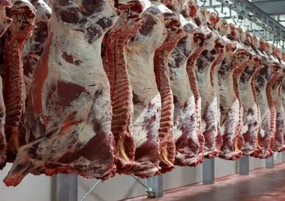قیمت گوشت قرمز امروز 27 بهمن1404/ بازار آرام و باثبات باقی ماند