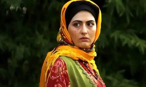 عکس/ چهرۀ «انیس» سریال سوجان با چادرنماز در مسجد نصیرالملک شیراز
