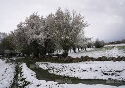 عکس دیده نشده از بارش شدید برف در چالدران