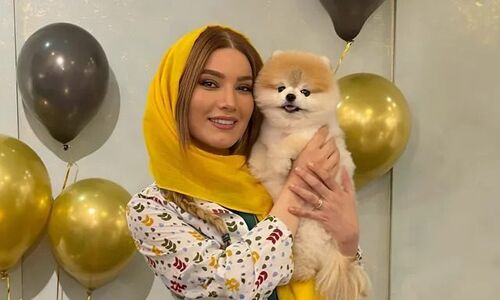 بیوگرافی متین ستوده و همه شوهران