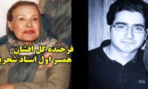 عکس/ به بهانه درگذشت همسر اول استاد شجریان و مادر همایون نگاهی به حضور این بانوی وفادار در مراسم خاکسپاری همسر سابقش با چشمانی گریان/ روح هر دو شاد